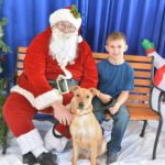 Santa Paws