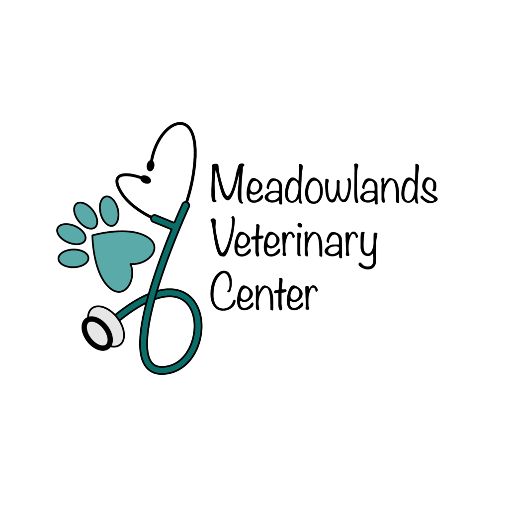 Mutt Mall Vendors Lake Humane Society